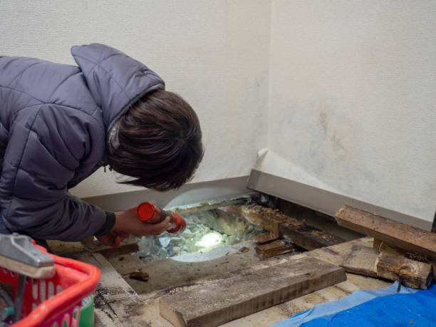 Best Mold Prevention Services  in Horse Cave, KY